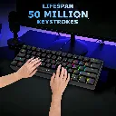 81xPnu5SOgL._SL1500_.webp