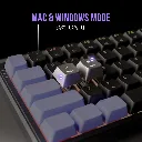 61u+hUpxk3L._SL1500_.webp
